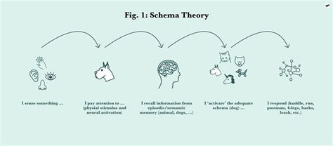 piaget schemas theory.